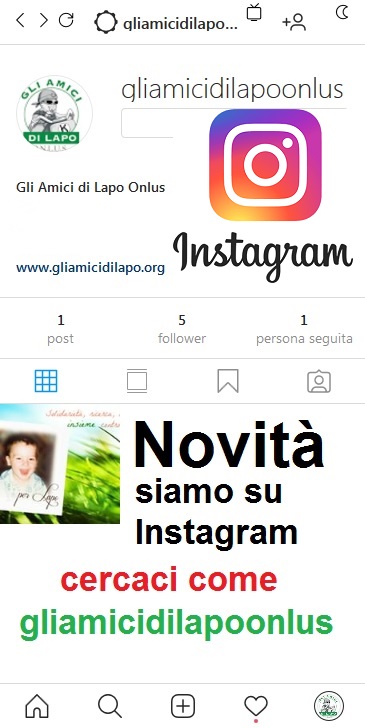 Siamo Online con il Nostro Profilo Instagram GliAmicidiLapoOnlus